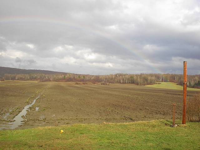 arce en ciel orgone CB